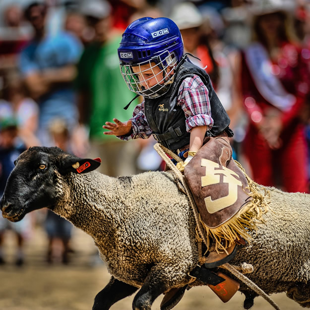 kid-rodeo-6665600_1920